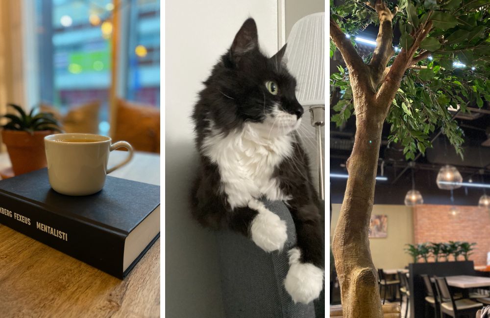 Edulliset kotisivut aloittavalle yritykselle 15 minuutissa