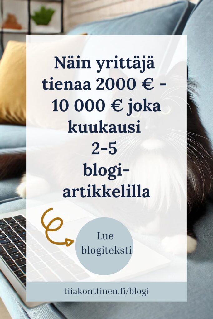 näin yrittäjä tienaa